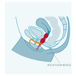 Kegel balls SMARTBALLS DUO - Figura 2