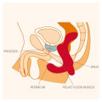 Vibrator Prostate DUKE - Figura 4