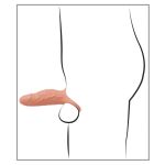 Menge Penisi e Mbyllur - Figura 11