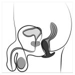 Anos Butt Plug me Vibrim - Figura 13