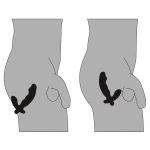 Vibrator Prostate Rebel - Figura 4