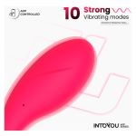 Bulby Silicone Egg Vibrator Dark Pink App Cl36 - Figura 4