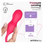 Kyra Pelvic Floor Trainer Pressure Sensing App P36 - Figura 3