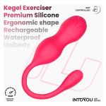 Kyra Pelvic Floor Trainer Pressure Sensing App P36 - Figura 6