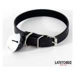 Qafore me zile - Figura 1