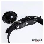 Qafore me zile - Figura 4