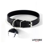 Qafore me zile - Figura 3