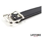 Silicone Ball Gag with Padlock - Figura 2