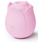 The Vibrating Rose Pink - Figura 1