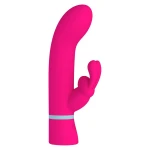 Vibrator Double Spotter - Figura 1