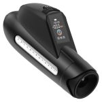 Pompe Penisi Submarine - Figura 2
